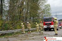 _2017-10-29 Sturmschaden diverse__06